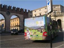 Verona Dinamica